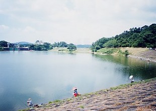 日野川ダム湖の写真です。(別ウィンドウで開く)