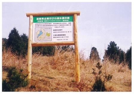 「滋賀県企業びわ湖水源の森」の表示の立て看板が立っている。枯れた背の高い草の中、周りの植林の背丈が低い。