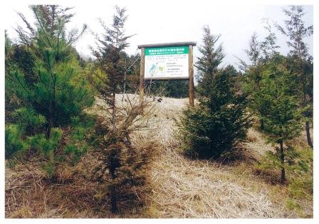 「滋賀県企業びわ湖水源の森」の表示の立て看板が立っている。植林した木のの背丈が高くなっている。