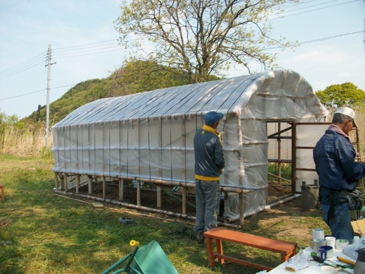 間伐竹構造材の温室（バンブーハウス）製作