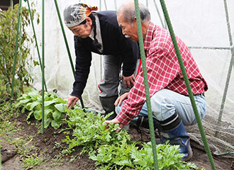 写真：野菜を世話する西田三郎さんと光子さん
