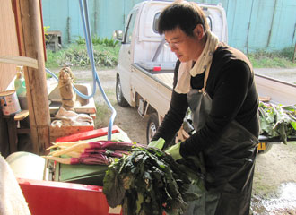 写真：日野菜を扱う谷口さん