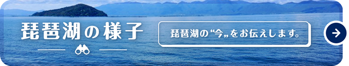琵琶湖の様子 琵琶湖の今をお伝えします。