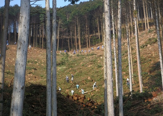 京都信用金庫絆の森