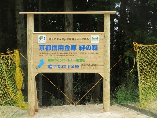 京都信用金庫絆の森森林保全活動