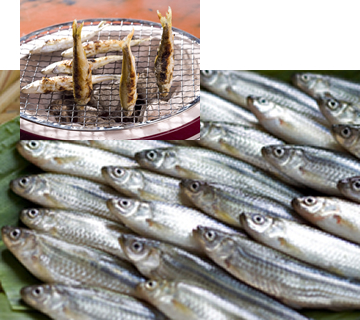 Willow minnow and grilled fish
