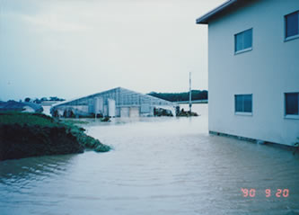 平成2年台風19号の水害写真