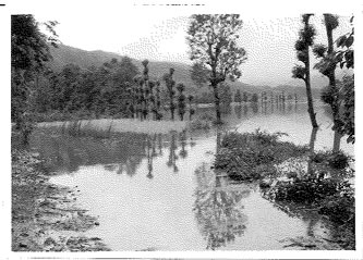 昭和36年6月梅雨前線豪雨の水害写真