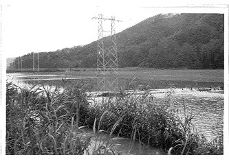 昭和36年6月梅雨前線豪雨の水害写真
