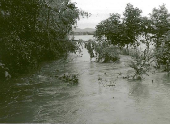 昭和34年台風7号の水害写真