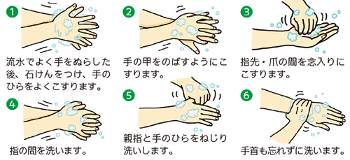 1 流水でよく手をぬらした後、石けんをつけ、手のひらをよくこすります。
2 手の甲をのばすようにこすります。
3 指先・爪の間を念入りにこすります。
4 指の間を洗います。
5 親指と手のひらをねじり洗いします。
6 手首も忘れずに洗います。