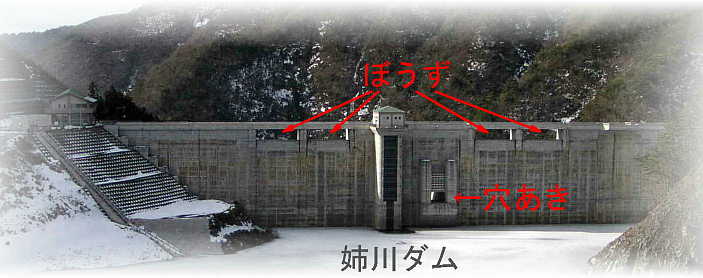 姉川ダム堤体を貯水池側からみた写真図です。
