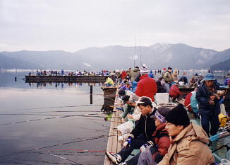 余呉湖の釣り桟橋写真です。冬にはわかさぎつりで沢山の方々が訪れています。