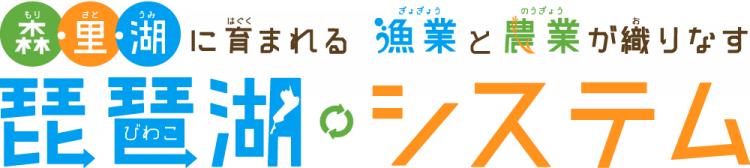 琵琶湖システム文字ロゴ