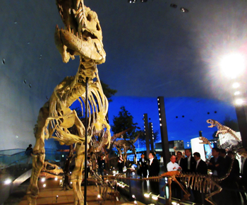 福井県立恐竜博物館を視察する知事