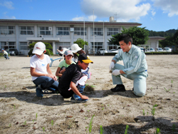 在校生の皆さんと一緒に広瀬小学校のグラウンドで草むしりをする知事