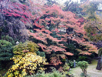 滋賀県公館の木々