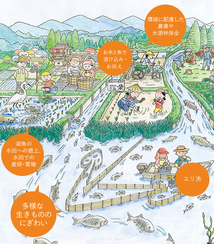 琵琶湖システムイメージ