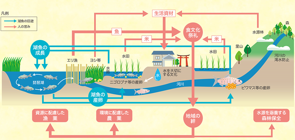 琵琶湖システムイメージ