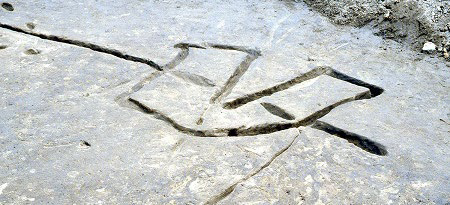 写真：古墳時代(3～7世紀)のエリの遺構（守山市赤野井湾遺跡）