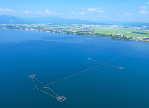 Lake Biwa Fishery Photos