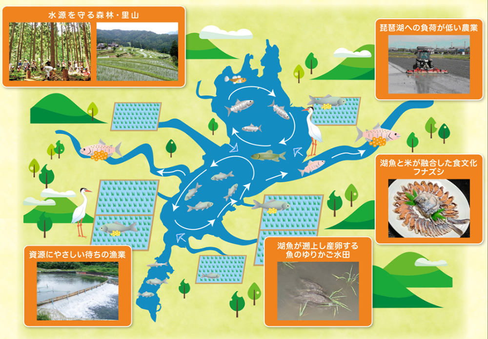 琵琶湖システム