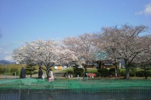 写真：滋賀県南郷水産センター風景