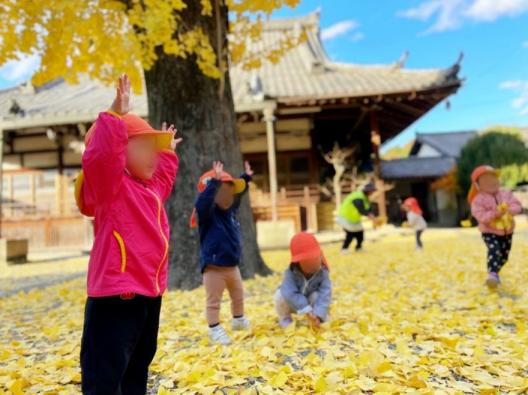 フィールド写真1