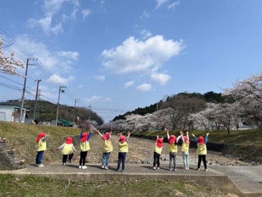 フィールド写真2