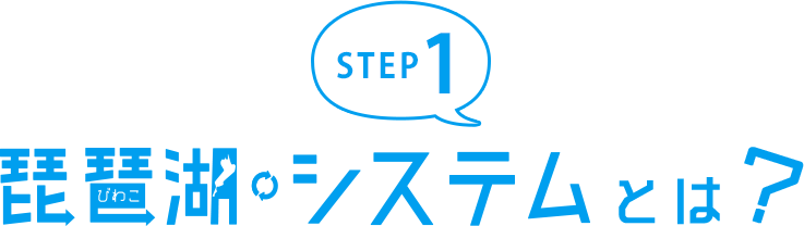 STEP1 琵琶湖システムとは?