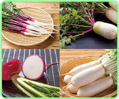 ～お米と伝統野菜～