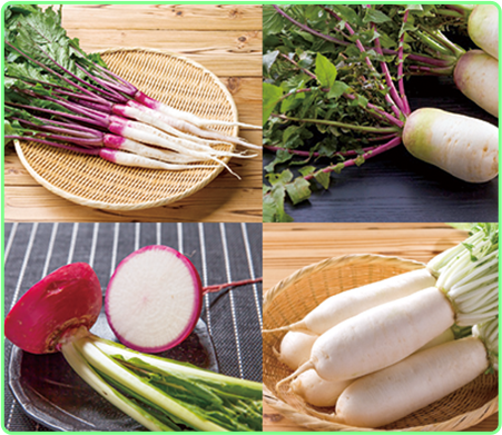 ～お米と伝統野菜～