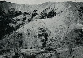 野洲川流域の荒廃した山林(明治20 年代)（写真提供 滋賀県立図書館）