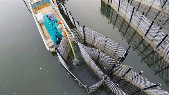 エリ漁をはじめとする琵琶湖漁業
