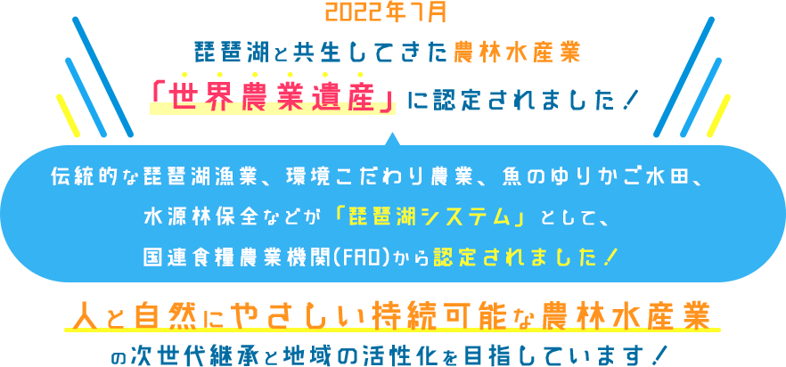 琵琶湖と共生してきた農林水産業「日本農業遺産」に認定されました！さらに「世界農業遺産」の候補に！伝統的な琵琶湖漁業、環境こだわり農業、魚のゆりかご水田、水源林保全などを「琵琶湖システム」として、国連食糧農業機関(FAO)に申請中。人と自然にやさしい持続可能な農林水産業の次世代継承と、地域の活性化を目指しています！