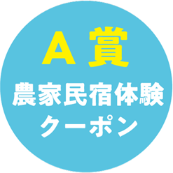 A賞農家⺠宿体験クーポン