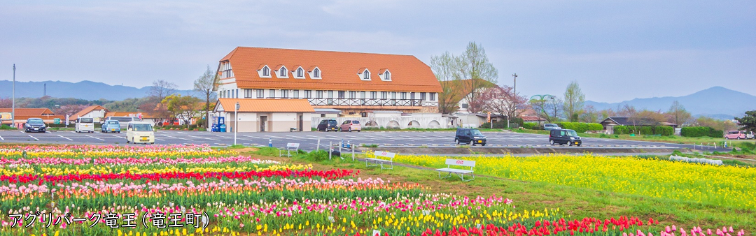 竜王町_アグリパーク竜王、画像の中央奥にアグリパーク竜王の建物があり、その手前の花壇に赤、ピンク、黄色などの色とりどりのたくさんのチューリップの花が咲いている。