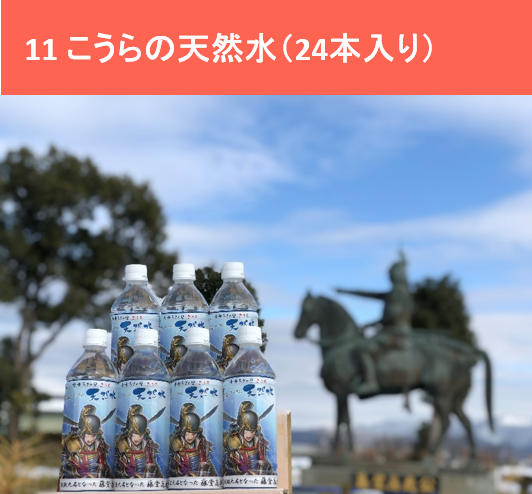こうらの天然水（24本入り）