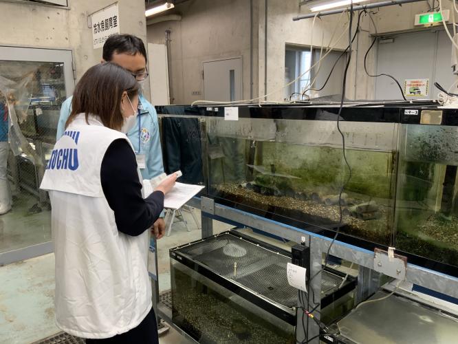 琵琶湖博物館での取組の様子1