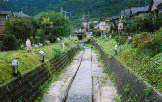 河川清掃作業中の様子の画像です。