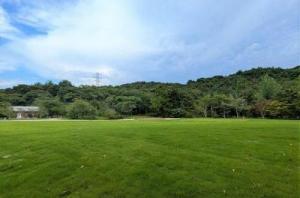 近江富士花緑公園芝生広場1