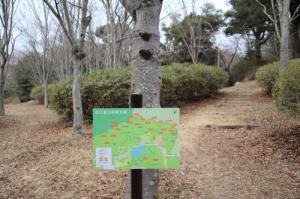 近江富士花緑公園森林内