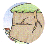 割れ目