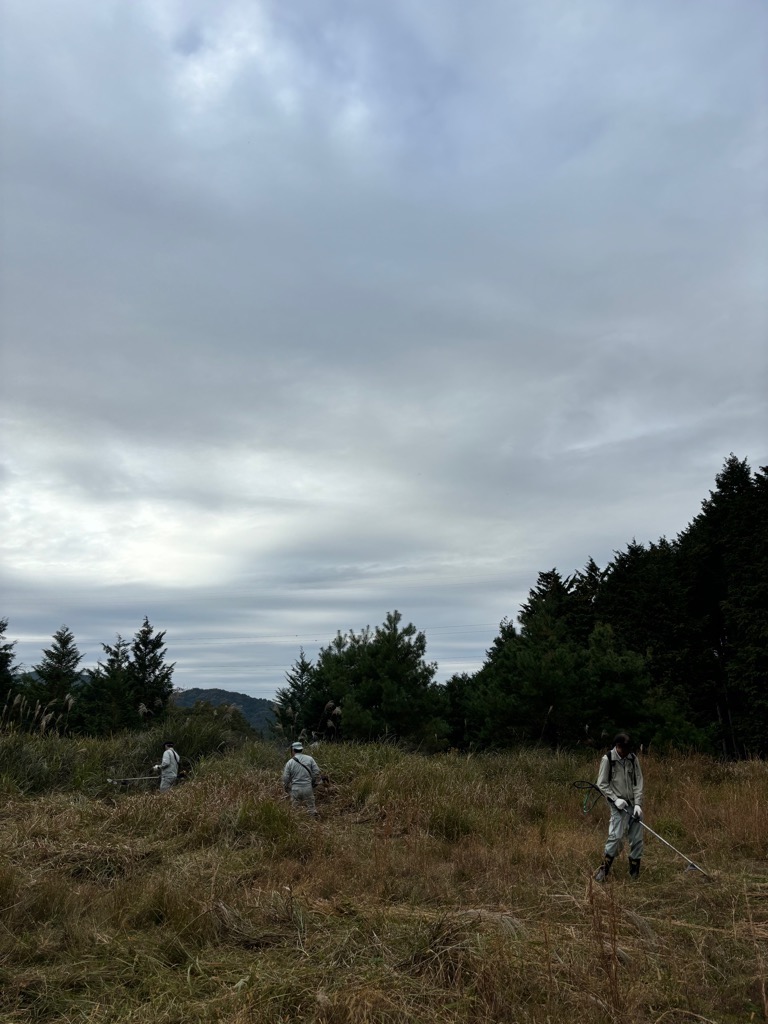 作業中3