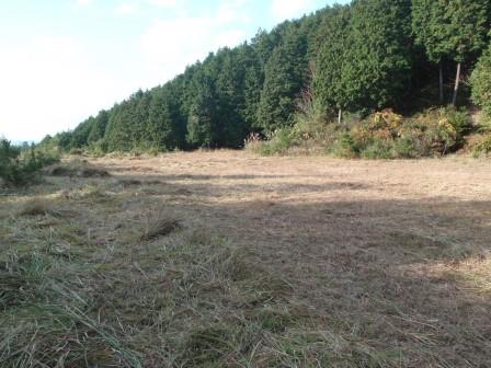 下草刈り作業後の山間の平地がきれいに草が刈られている。