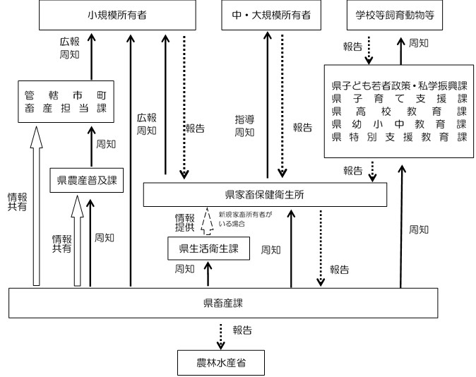 滋賀県畜産課は、県農産普及課、県家畜保健衛生所および県教育機関に定期報告の周知依頼をします。依頼を受けた県機関は、それぞれが管轄する家畜の飼養者あてに定期報告の提出を要請します。家畜の飼養者は、家畜保健衛生所に定期報告を提出します。なお、報告を受け付けた家畜保健衛生所は、集計後、畜産課を通して農林水産省へ報告することになります。