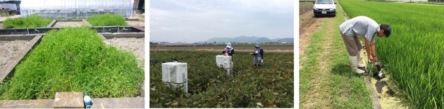 環境保全係の業務