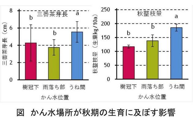 かん水場所が秋期の生育に及ぼす影響の図