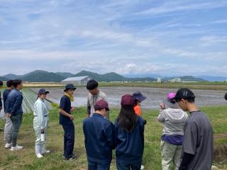 水田の見学