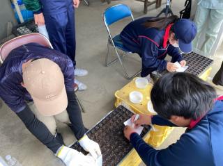 花苗播種の体験